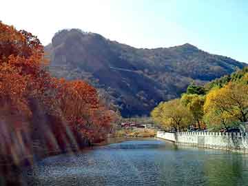 矮化果樹盆景（居家盆栽“矮化種”蘋果樹）