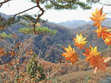 臉部白癜風(fēng)怎么治療(面部白癜風(fēng)患者如何進(jìn)行心理調(diào)節(jié))